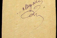 241