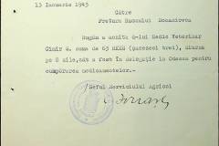 241