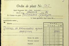 241