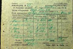 241