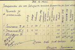241