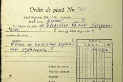 241