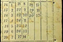 241