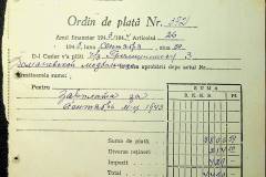 241