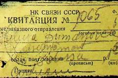 241