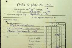 241