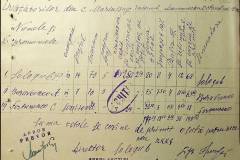 241
