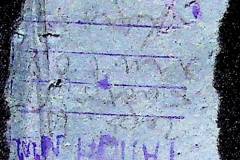 241