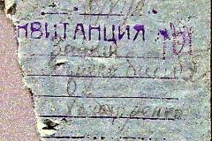 241
