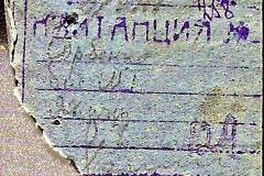 241