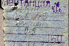 241