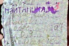 241