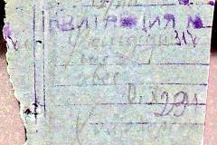241