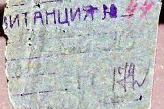 241