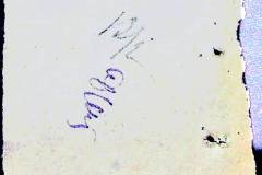 241