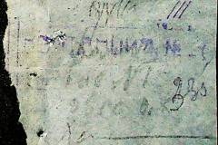 241