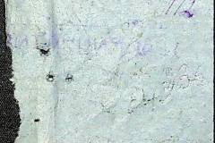 241