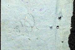 241