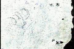 241