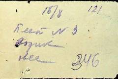 241