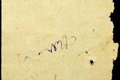 241