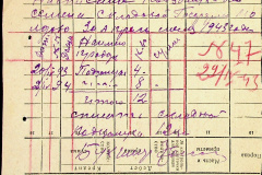 241