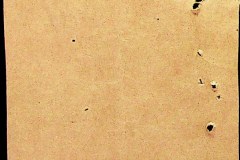 241