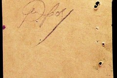 241
