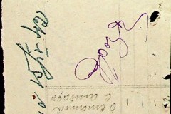 241