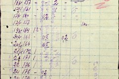 241