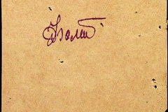 241