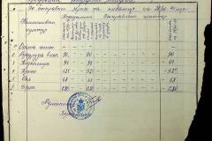 241