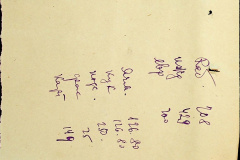 241