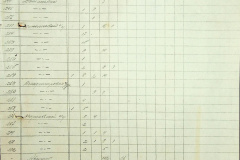 241