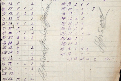 241