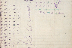 241
