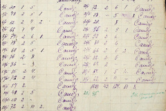 241