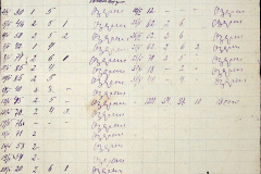 241