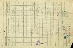 241