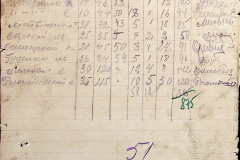 241