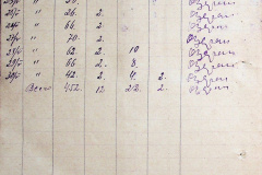 241