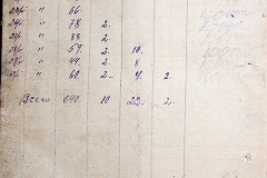 241