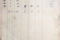 241