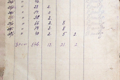 241
