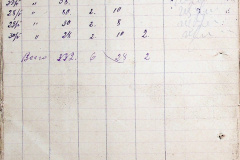 241