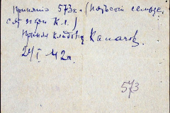 241