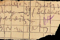 241