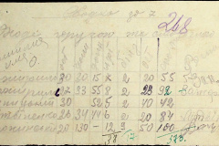 241