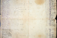 241