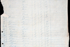 241
